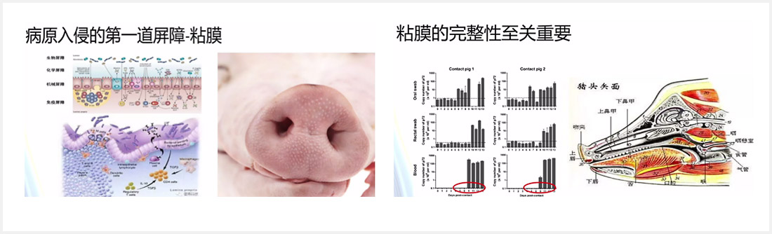 1597653335240762.jpg 04-11.jpg