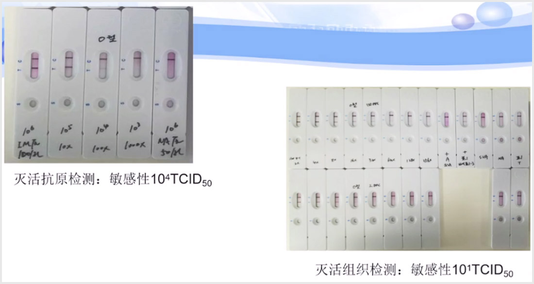 1597656027912015.jpg 3-5.jpg