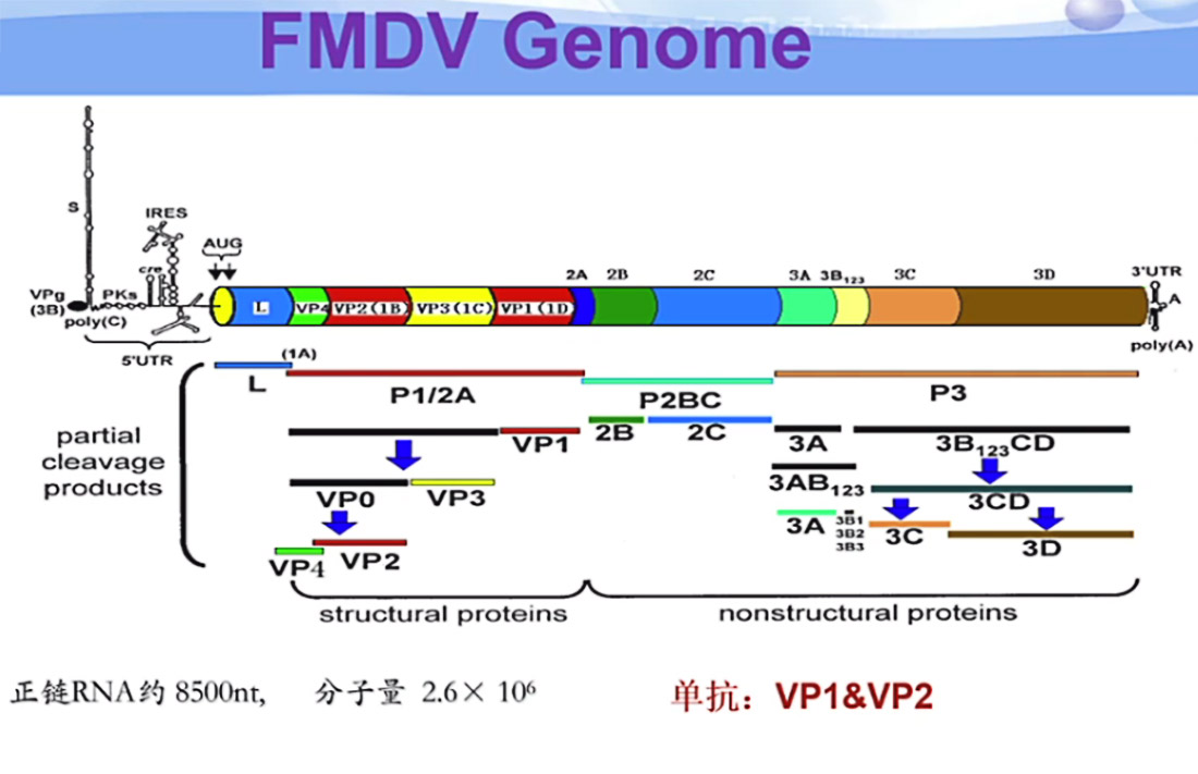 1597656042898761.jpg 3-7.jpg