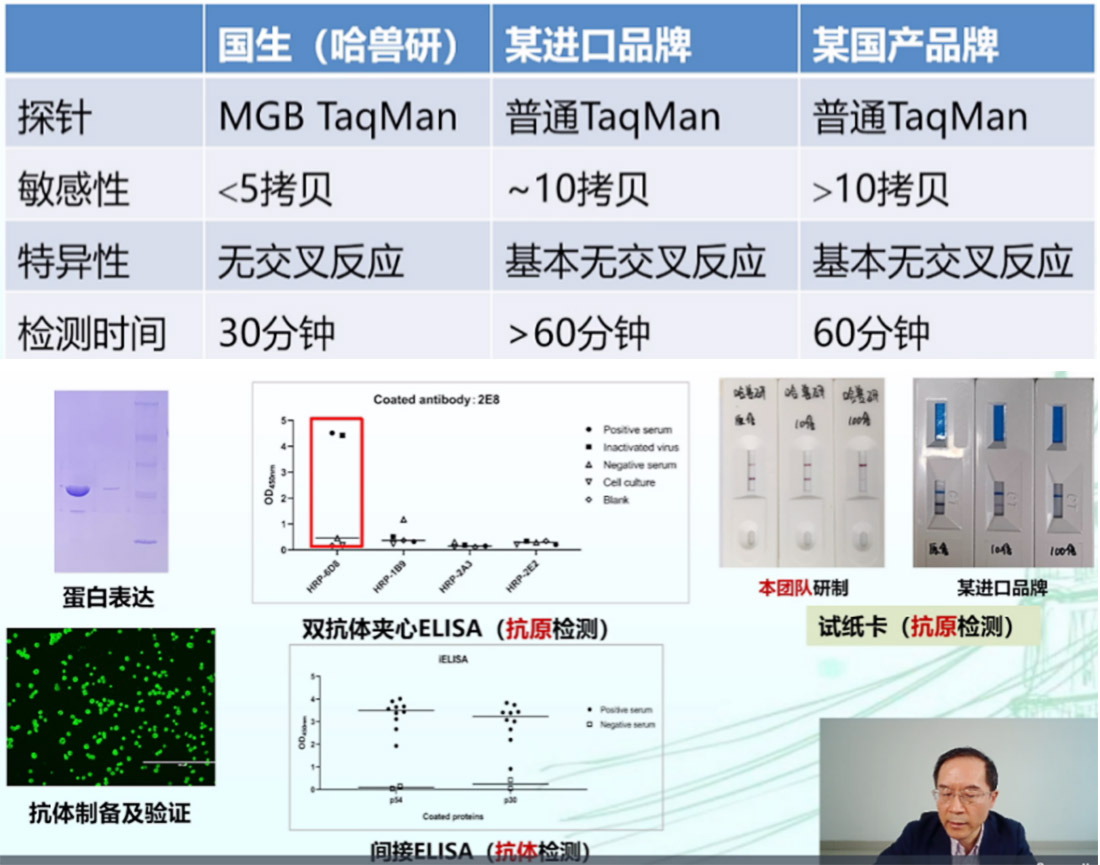 1597656654840238.jpg 2-5.jpg